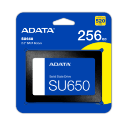 256GB SATA SSD