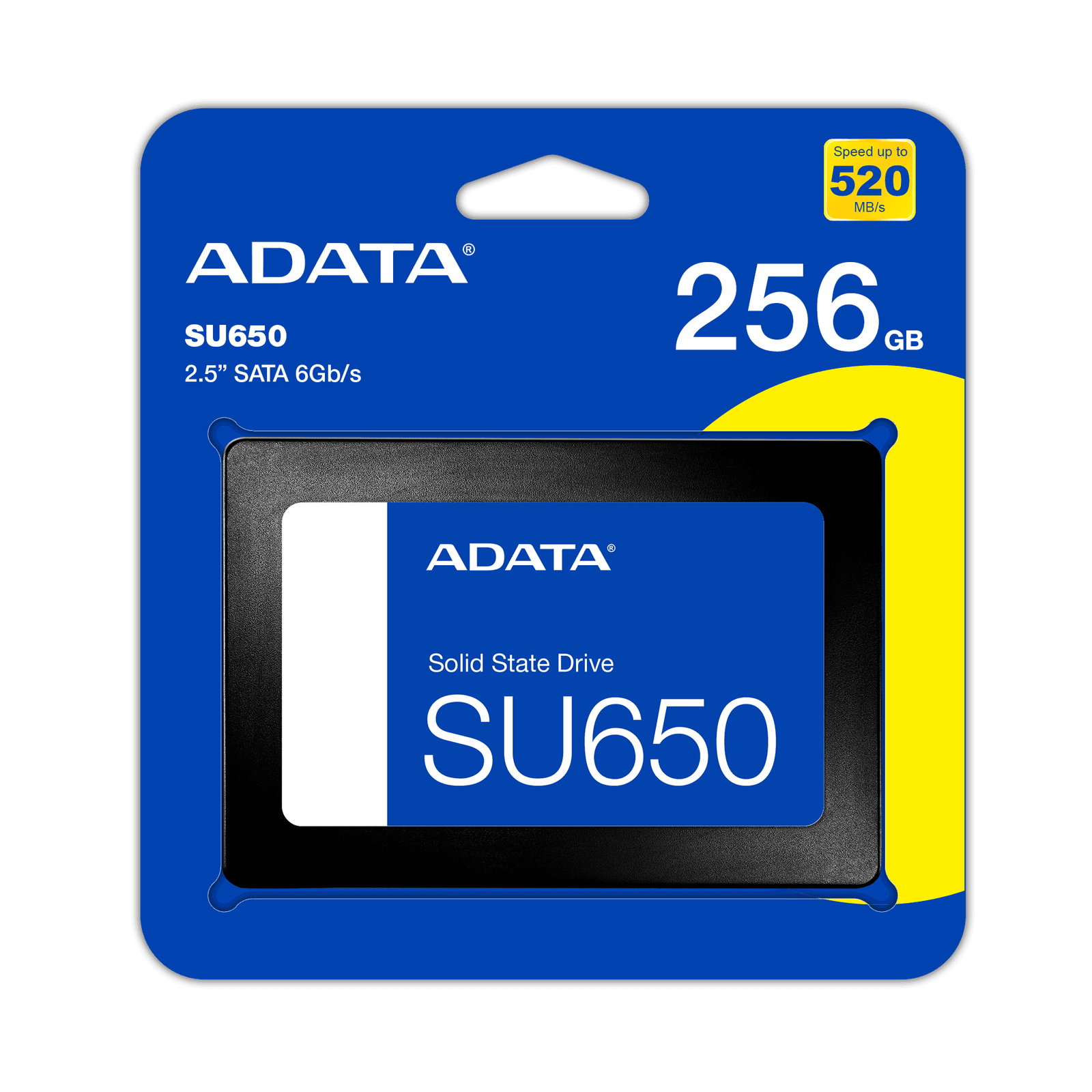 256GB SATA SSD